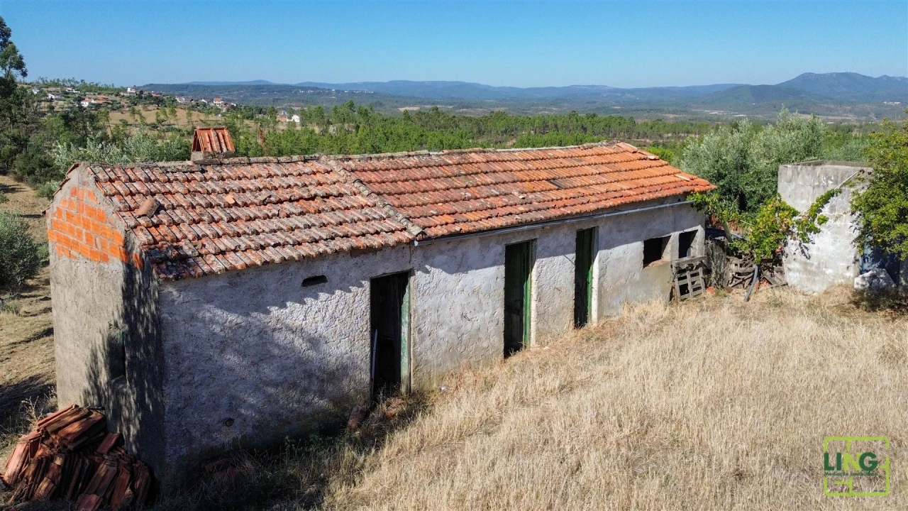 Quinta T0 para Venda em Sarzedas Foto 49