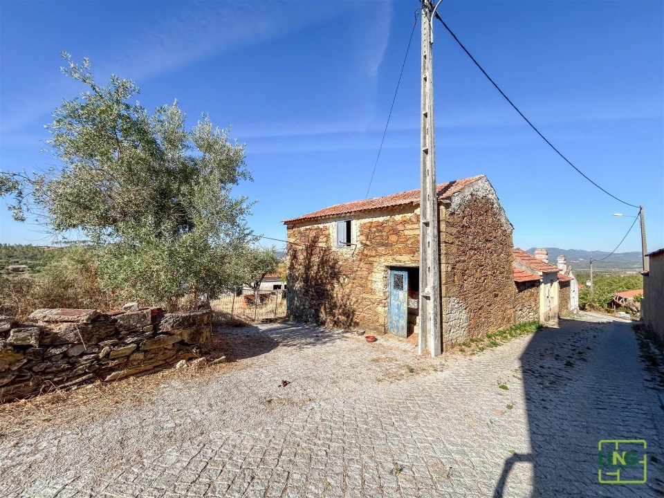 Quinta T0 para Venda em Sarzedas Foto 37