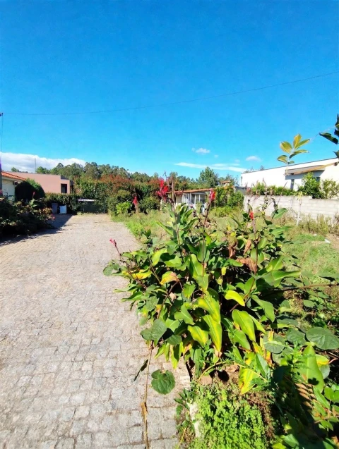 Terreno para Venda em Oleiros