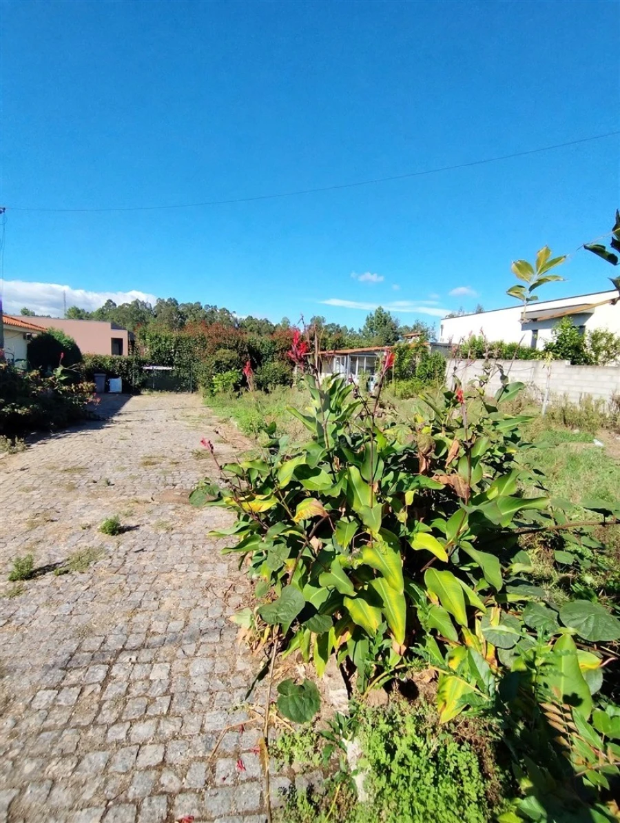 Terreno para Venda em Oleiros Foto 7