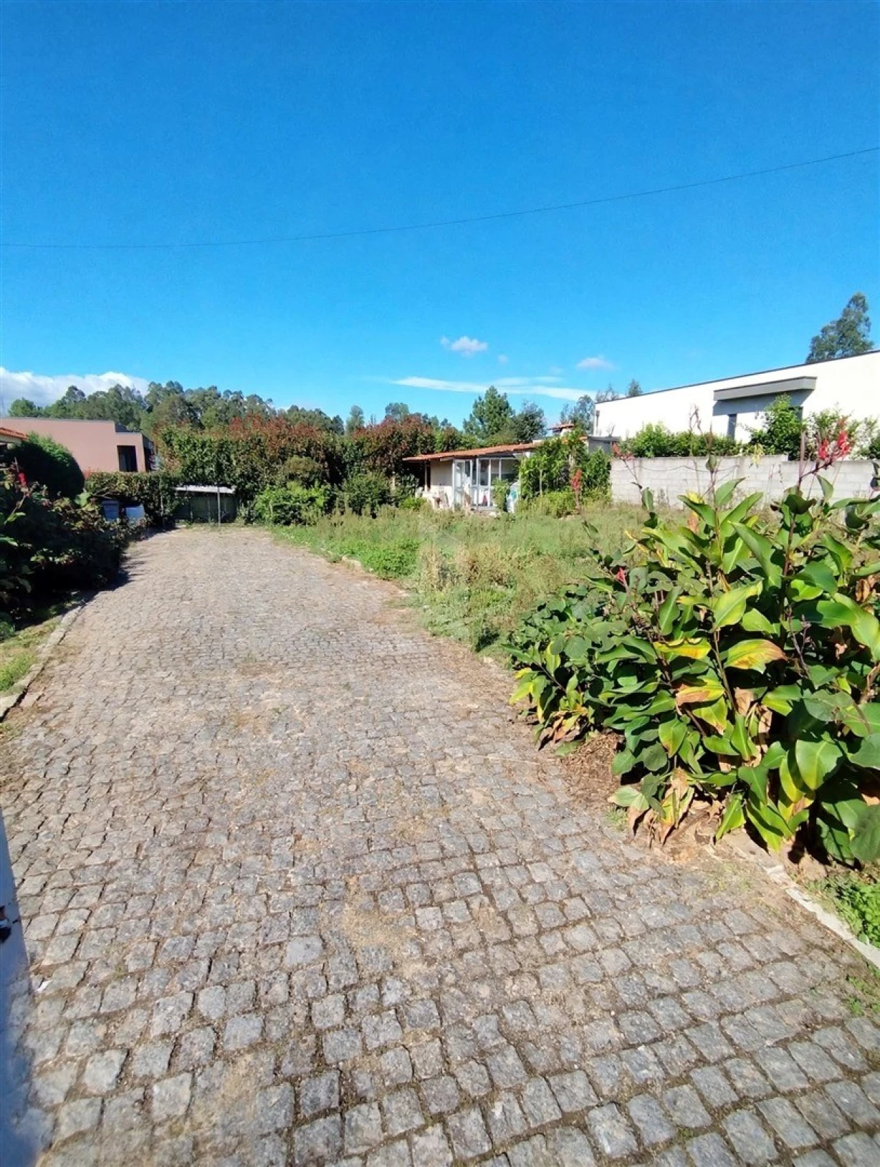 Terreno para Venda em Oleiros Foto 9