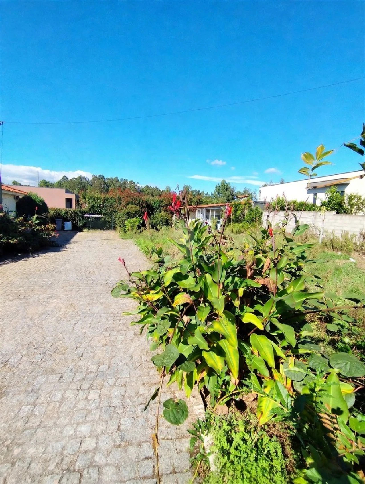 Terreno para Venda em Oleiros Foto 8