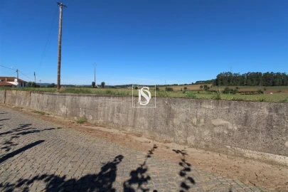 Terreno Agricola ou Rústico para Venda em Balazar