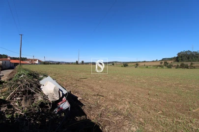 Terreno Agricola ou Rústico para Venda em Balazar