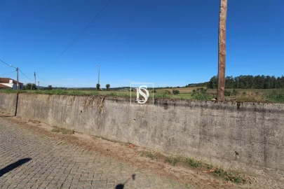 Terreno Agricola ou Rústico para Venda em Balazar