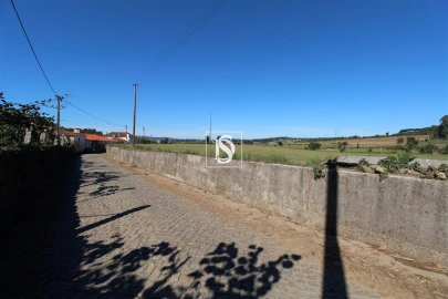 Terreno Agricola ou Rústico para Venda em Balazar