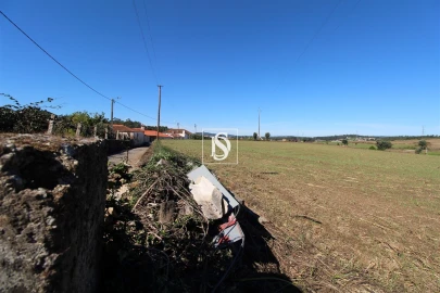 Terreno Agricola ou Rústico para Venda em Balazar