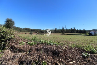 Terreno Agricola ou Rústico para Venda em Balazar