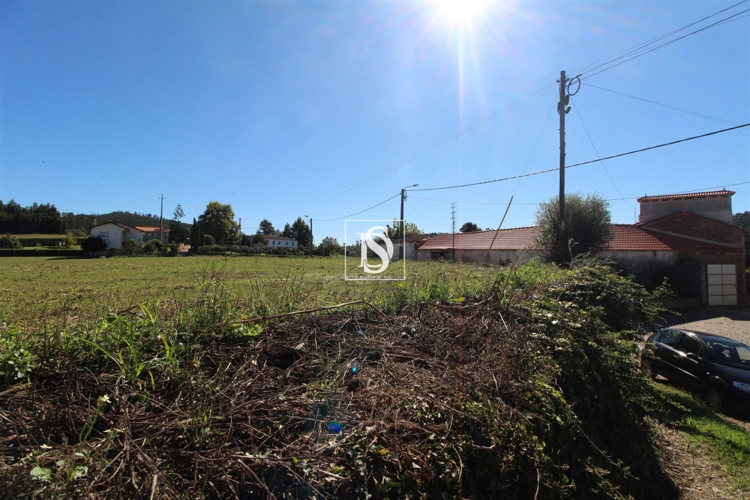 Terreno Agricola ou Rústico para Venda em Balazar Foto 3