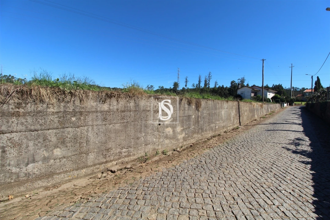 Terreno Agricola ou Rústico para Venda em Balazar Foto 6