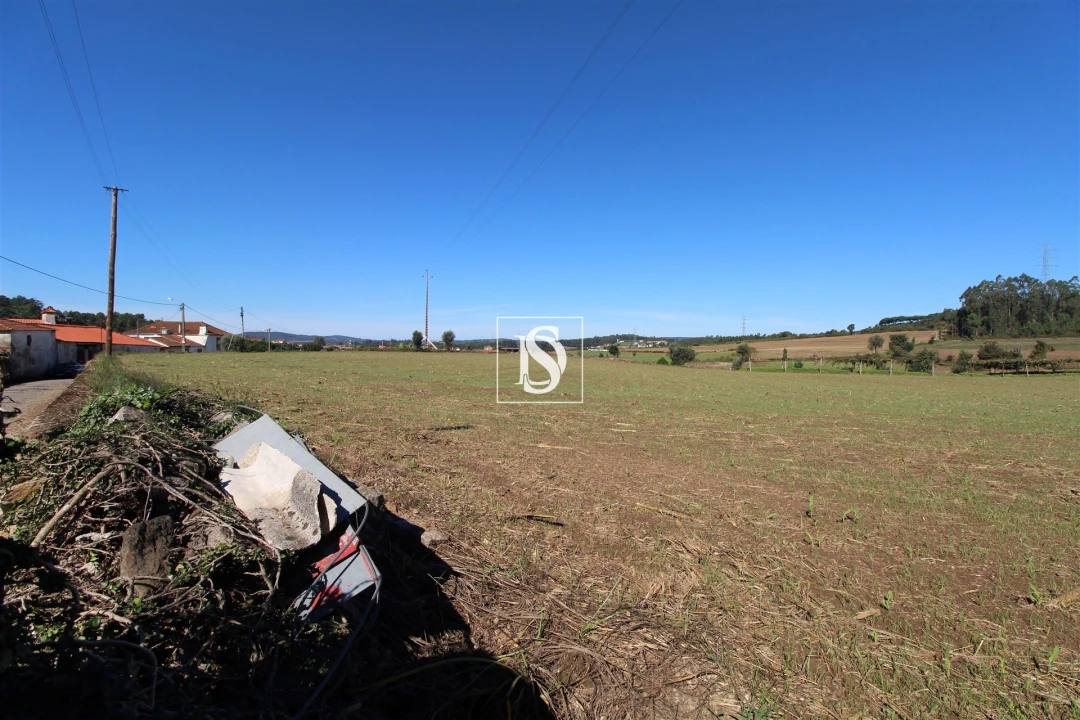 Terreno Agricola ou Rústico para Venda em Balazar Foto 7