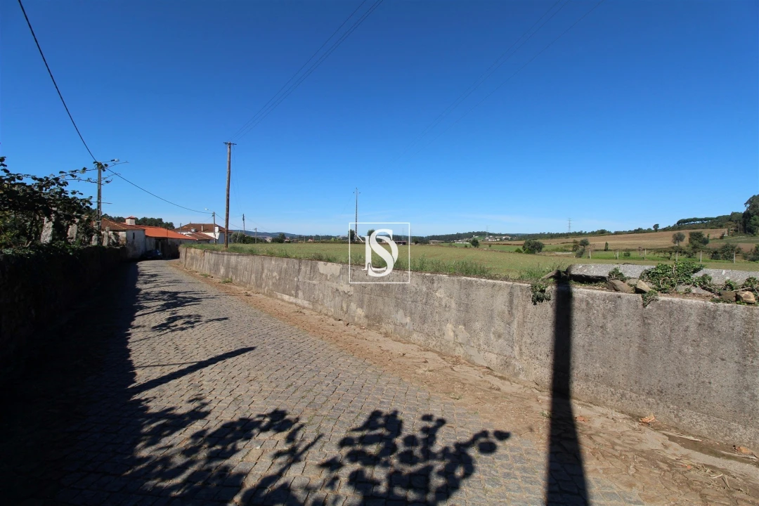 Terreno Agricola ou Rústico para Venda em Balazar Foto 9