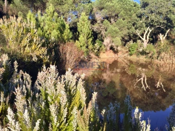 Quinta T2 para Venda em São Teotónio