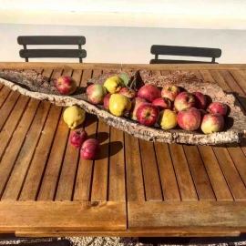 Quinta T2 para Venda em São Teotónio
