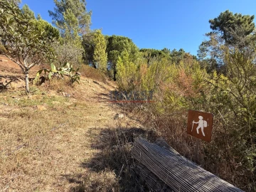 Quinta T2 para Venda em São Teotónio