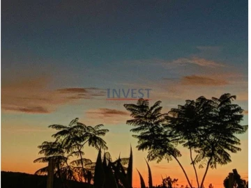 Quinta T2 para Venda em São Teotónio