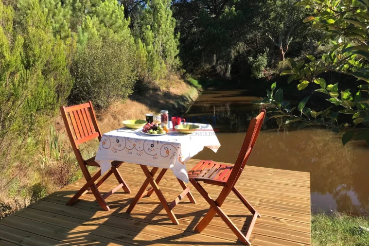 Quinta T2 para Venda em São Teotónio Foto 30
