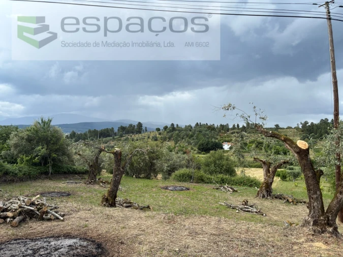 Terreno para Venda em Alcaria Foto 8
