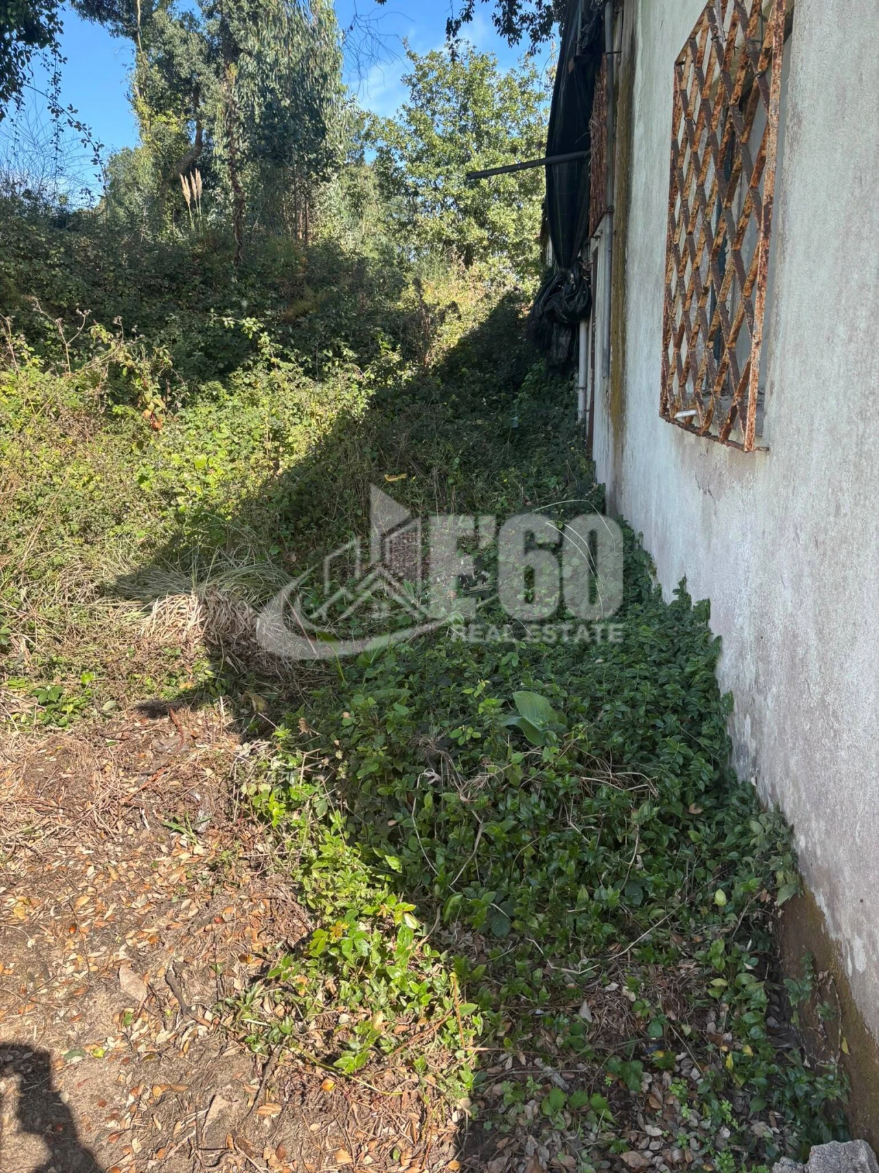 Terreno para Venda em Anta e Guetim Foto 13
