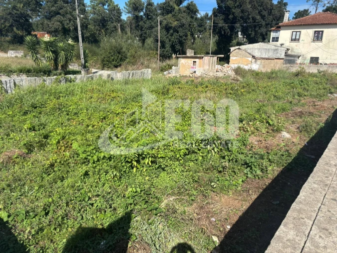 Terreno para Venda em Anta e Guetim Foto 4