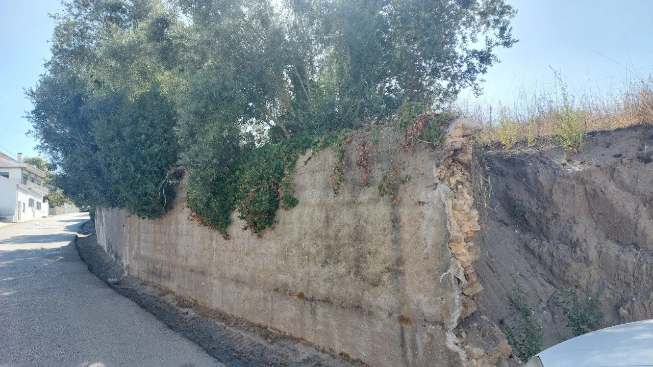 Terreno para Venda em Monte Real e Carvide Foto 5
