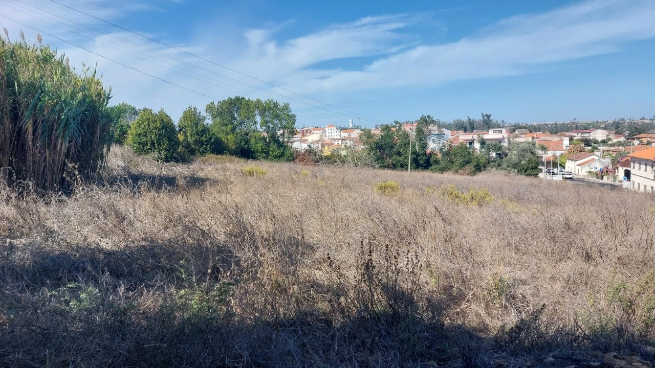 Terreno para Venda em Monte Real e Carvide Foto 1