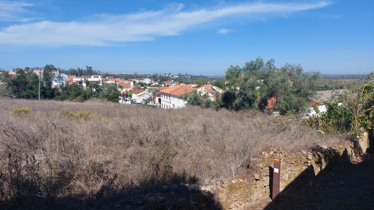 Terreno para Venda em Monte Real e Carvide Foto 2