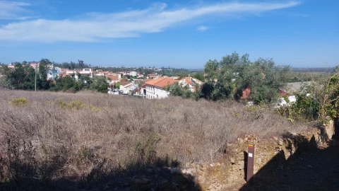 Terreno para Venda em Monte Real e Carvide