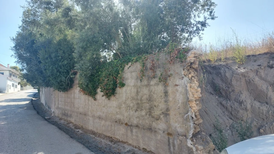 Terreno para Venda em Monte Real e Carvide Foto 5