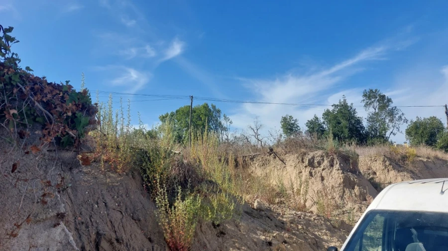 Terreno para Venda em Monte Real e Carvide Foto 6