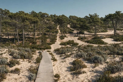 Moradia T5 para Venda em Comporta