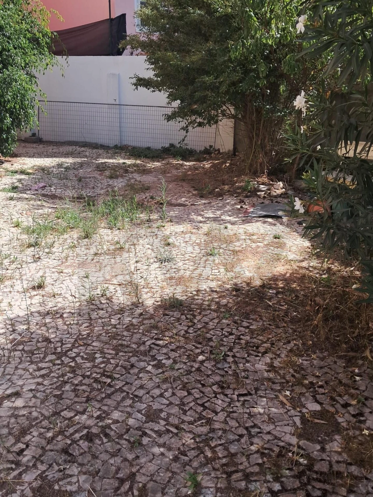 Apartamento para Venda em Águas Livres Foto 13