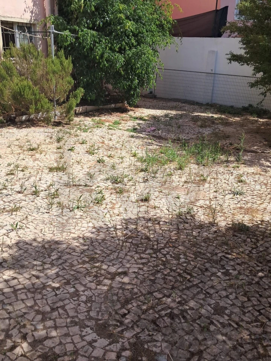 Apartamento para Venda em Águas Livres Foto 16