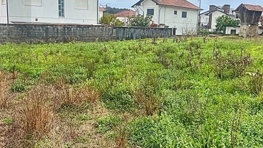 Terreno para Venda em Fiães