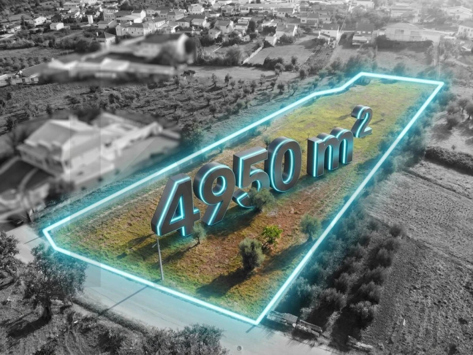 Terreno para Venda em Chão de Couce Foto 1