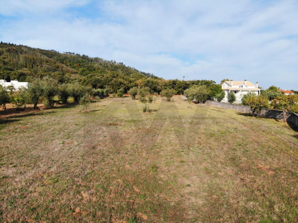 Terreno para Venda em Chão de Couce Foto 11