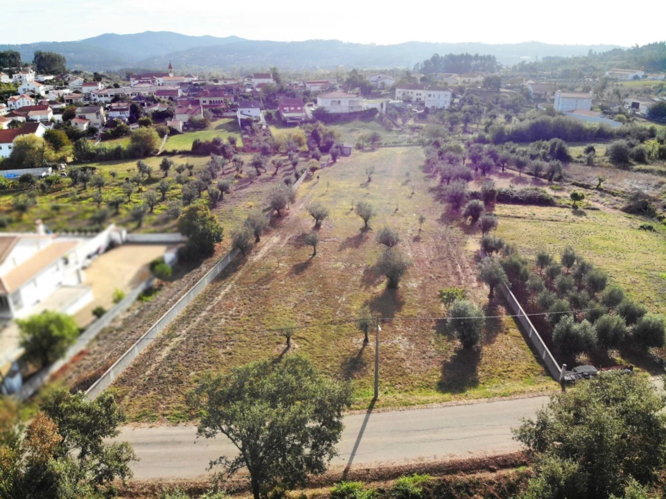 Terreno para Venda em Chão de Couce Foto 2
