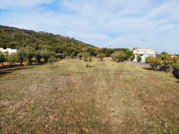 Terreno para Venda em Chão de Couce