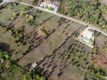 Terreno para Venda em Chão de Couce