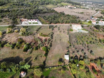 Terreno para Venda em Chão de Couce