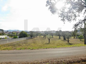 Terreno para Venda em Chão de Couce