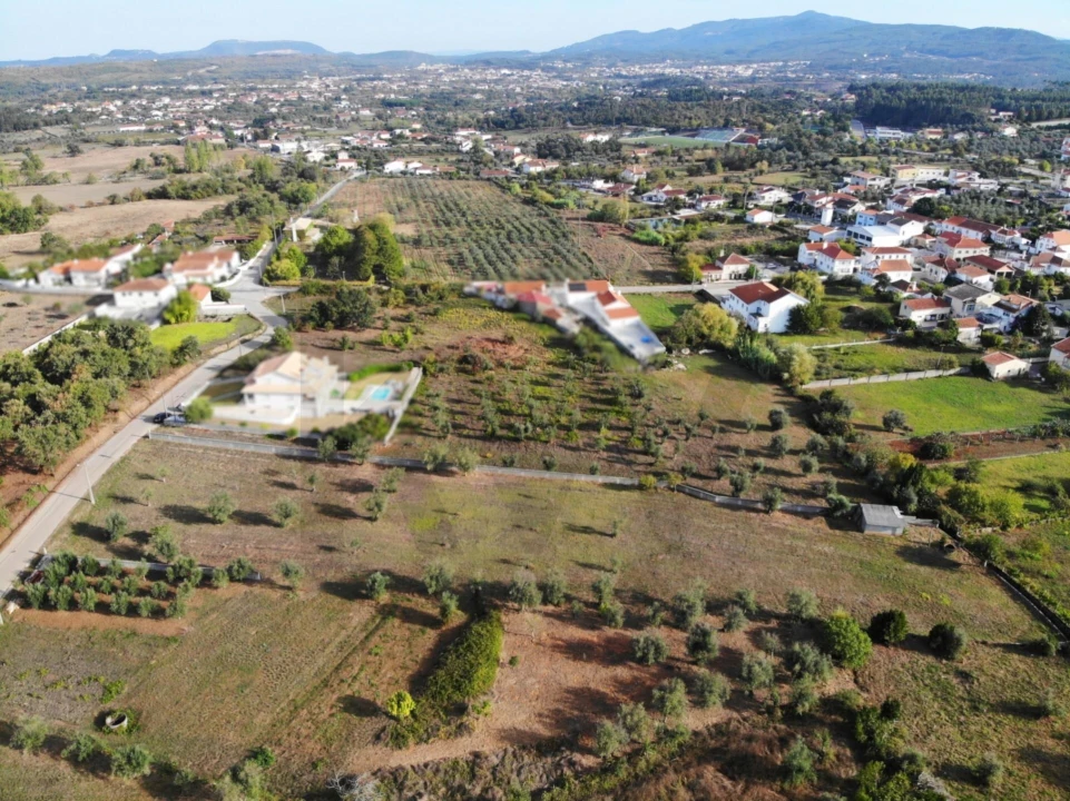 Terreno para Venda em Chão de Couce Foto 12