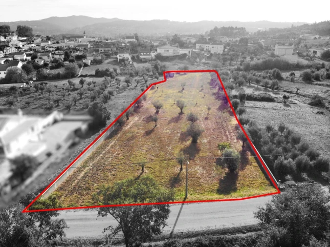 Terreno para Venda em Chão de Couce Foto 3