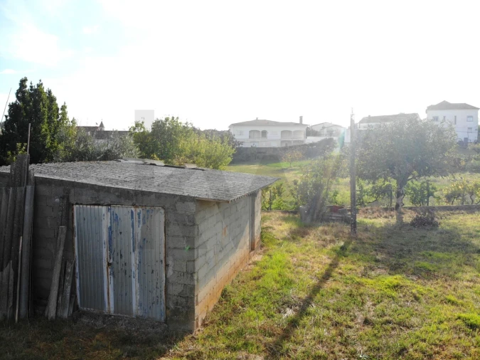 Terreno para Venda em Chão de Couce Foto 9