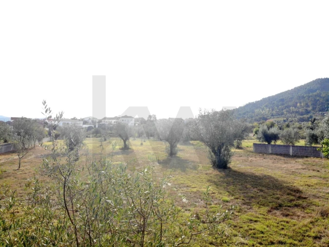 Terreno para Venda em Chão de Couce Foto 8