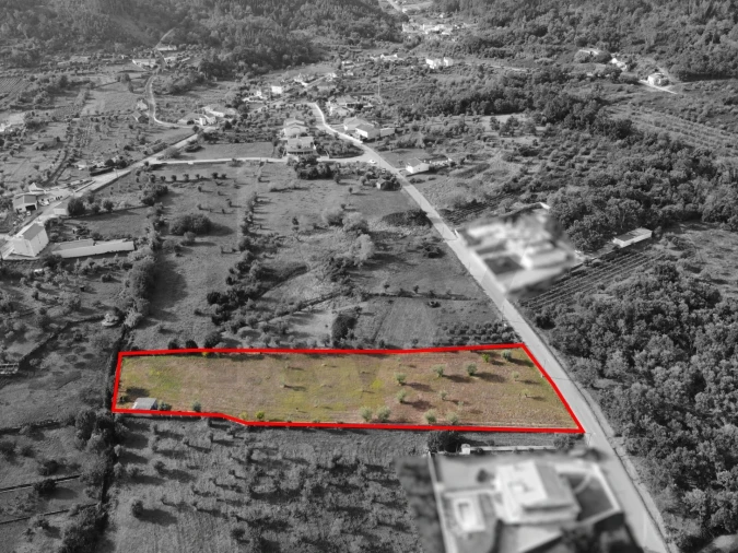 Terreno para Venda em Chão de Couce Foto 19
