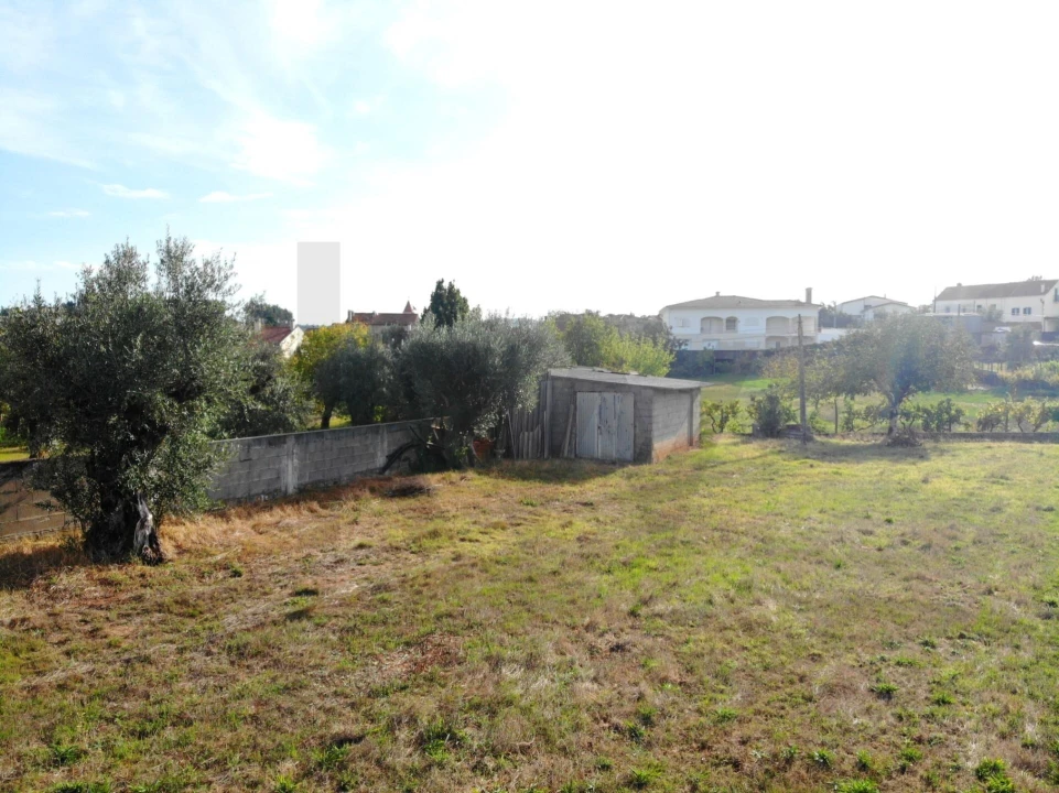 Terreno para Venda em Chão de Couce Foto 10