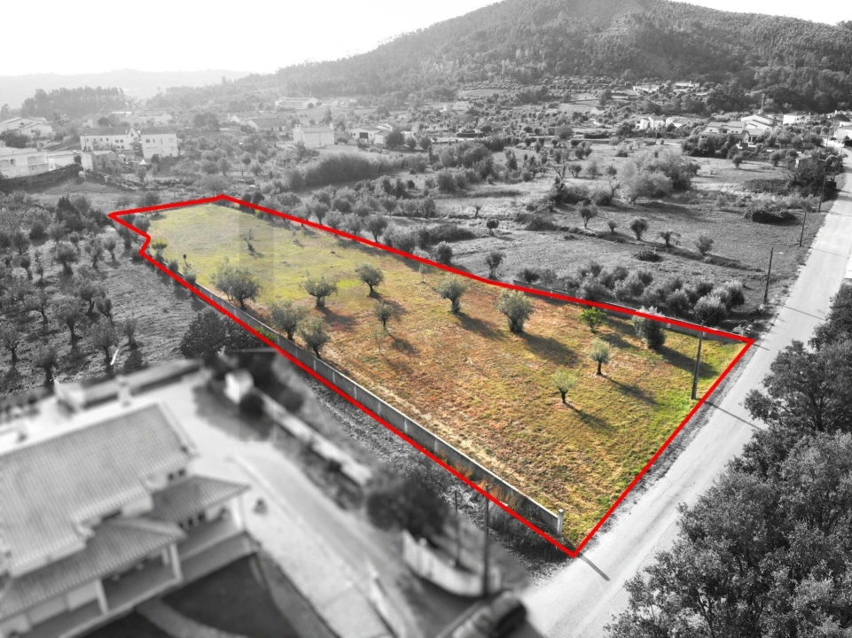 Terreno para Venda em Chão de Couce Foto 15