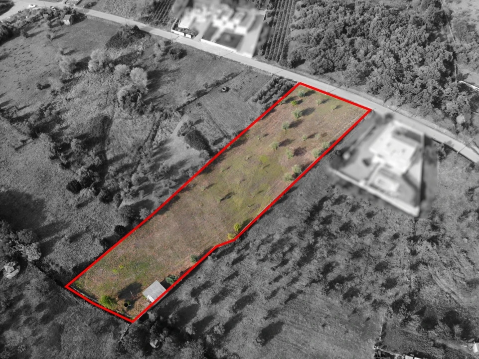Terreno para Venda em Chão de Couce Foto 17