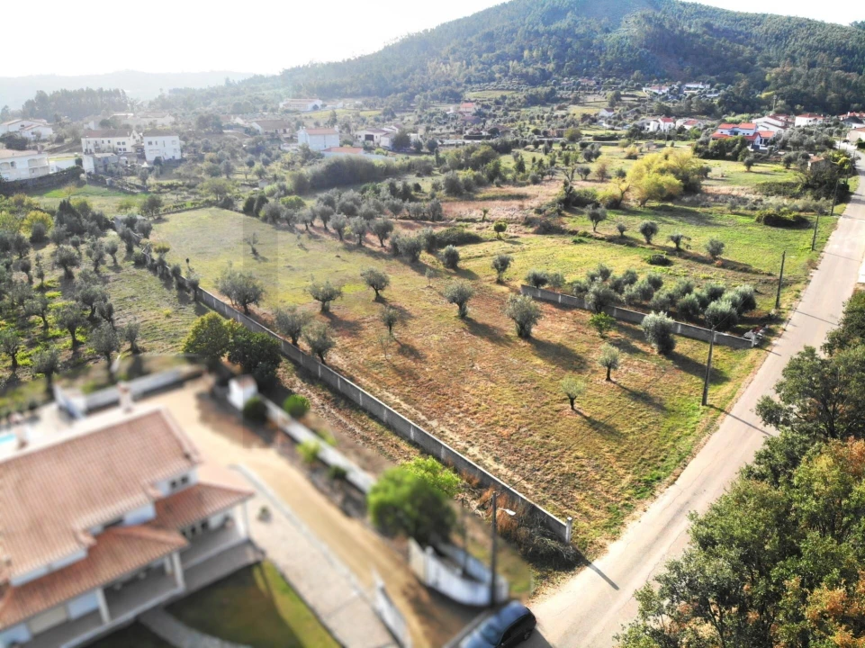 Terreno para Venda em Chão de Couce Foto 16